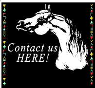 Contact Us Here